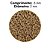 RACAO POYTARA  JABUTI MINI STICKS 75G - Imagem 3