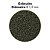 RACAO POYTARA  BLACK LINE SPIRULINA 40% PELLETS M  45G - Imagem 3