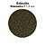 RACAO POYTARA  BLACK LINE KINGUIO FLOATING  95G - Imagem 3