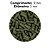 POYTARA  BLACK LINE IMMUNITY MONSTER FLOATING G 600G (BAG) - Imagem 3