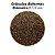 RACAO POYTARA  BLACK LINE DISCOS NATURAL 95G - Imagem 3