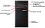 Servidor Lenovo St50: Xeon E-2104G, 32Gb Ddr4, 2x SSD 480Gb - Imagem 7
