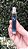 Perfume Miniatura Colônia Be Azul Marinho  10ml Roll On Tamanho Bolsa - Imagem 5
