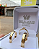 Par de Alianças Ouro 18k 4mm 4 gramas + Anel Solitário Banhado - Imagem 3