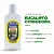 ESSÊNCIA COALA CITRIODORA 120ML - Imagem 2