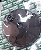 PECA 15 CAPUZ LXM-CS - Imagem 1