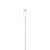 Cabo Lightning para USB (2 m) - Imagem 3