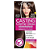 L'ORÉAL PARIS COLORAÇÃO CASTING CREME GLOSS - 400 CASTANHO NATURAL/  42G - Imagem 1