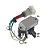Regulador Alternador Gauss Equivale 8942214501 isuzu - Imagem 3