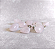 Pingente de Quartzo Rosa Rolado - Banho Prata - "Amor" - Imagem 1