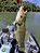 Kit Fire Shad 9cm com 41 peças. - Imagem 4