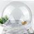 Balão Bubble Transparente para Arranjos (Abertura com 8,5cm) - Imagem 1