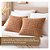 Capa de Almofada de Veludo Snow Marrom Jolitex - 45x45Cm - Imagem 4