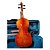 Violino 4/4 Eagle VE 145 Envelhecido Master Series - Imagem 4