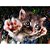 Quebra Cabeça Super 3D Gato - Multikids - Imagem 2