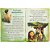 Bíblia Infantil Letras Grandes Edição Comemorativa - TodoLivro - Imagem 3