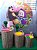 MASHA E O URSO 01 - PACOTE 2 - Imagem 2