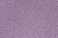 Adesivo Contact Pink Sakura 10 Metros x 45cm - Imagem 1