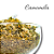 Camomila - Imagem 2