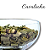 Cavalinha - Imagem 2