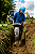 Compactador de Solo WACKER BS50-2 PLUS - 4.0 HP - 2 Tempos - Imagem 2