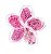 Kit Flor de Lotus Molin Love Pink Set - Imagem 1