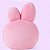 Almofada Travesseiro Pelúcia BT21 Cooky Original Miniso - Imagem 8