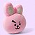 Almofada Travesseiro Pelúcia BT21 Cooky Original Miniso - Imagem 2