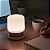 Luminária De Mesa Portátil Led Recarregável Usb Rosa Miniso - Imagem 2
