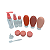 Kit Completo de Frascos de Cosméticos e Viagem Fofo Miniso - Imagem 4