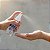 Spray Antisséptico Higienizador De Mãos Bacfree 60ml - Imagem 10