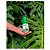 Fertilizante Vithal Plantas Verdes 250ml - Imagem 2
