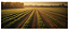 Adubo Bio Bokashi Fertilizante Jardim Saco 25kg - Imagem 3