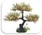 SKRw PLANTA ARTIFICIAL T1164 24X24CM GALH.MR/AMA - Imagem 1