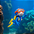 ENFEITE MERGULHADOR FLUTUANTE AZUL/AMARELO SKRw - Imagem 2