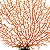PLANTA ARTIFICIAL CORAL LARANJA 30X25CM SKRw - Imagem 5