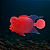 PEIXE FLUTUANTE FLOWERHORN VERMELHO/AZUL SKRw - Imagem 2