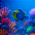 PEIXE FLUTUANTE NEMO AZUL SKRw - Imagem 2