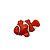 PEIXE FLUTUANTE NEMO SKRw - Imagem 3