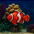 PEIXE FLUTUANTE NEMO SKRw - Imagem 2