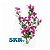 SKRw PLANTA ARTIFICIAL LX-S1221 30CM - Imagem 1