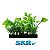 SKRw PLANTA ARTIFICIAL M-471 18X10CM FOLHA LAR.VED - Imagem 1