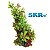 SKRw PLANTA ARTIFICIAL M-637 10X18CM MOITA VM/VD - Imagem 1