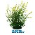 SKRw PLANTA ARTIFICIAL M-866 11X17CM VERDE/AMARE. - Imagem 1