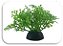 SKRw PLANTA ARTIFICIAL S-243 5CM RASTEIRA VERDE - Imagem 1