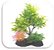 SKRw PLANTA ARTIFICIAL T 605 15 ARVORE VERD/AM - Imagem 1