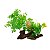 SKRw PLANTA ARTIFICIAL T 816 15X30CM VD/FOLHA REDO - Imagem 4