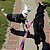 Guia Dupla para cachorros Sunset - Imagem 2