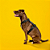Peitoral H antipuxão para cachorros Preto All Black - Imagem 1