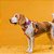 Peitoral H antipuxão para cachorros Wave - Imagem 1
